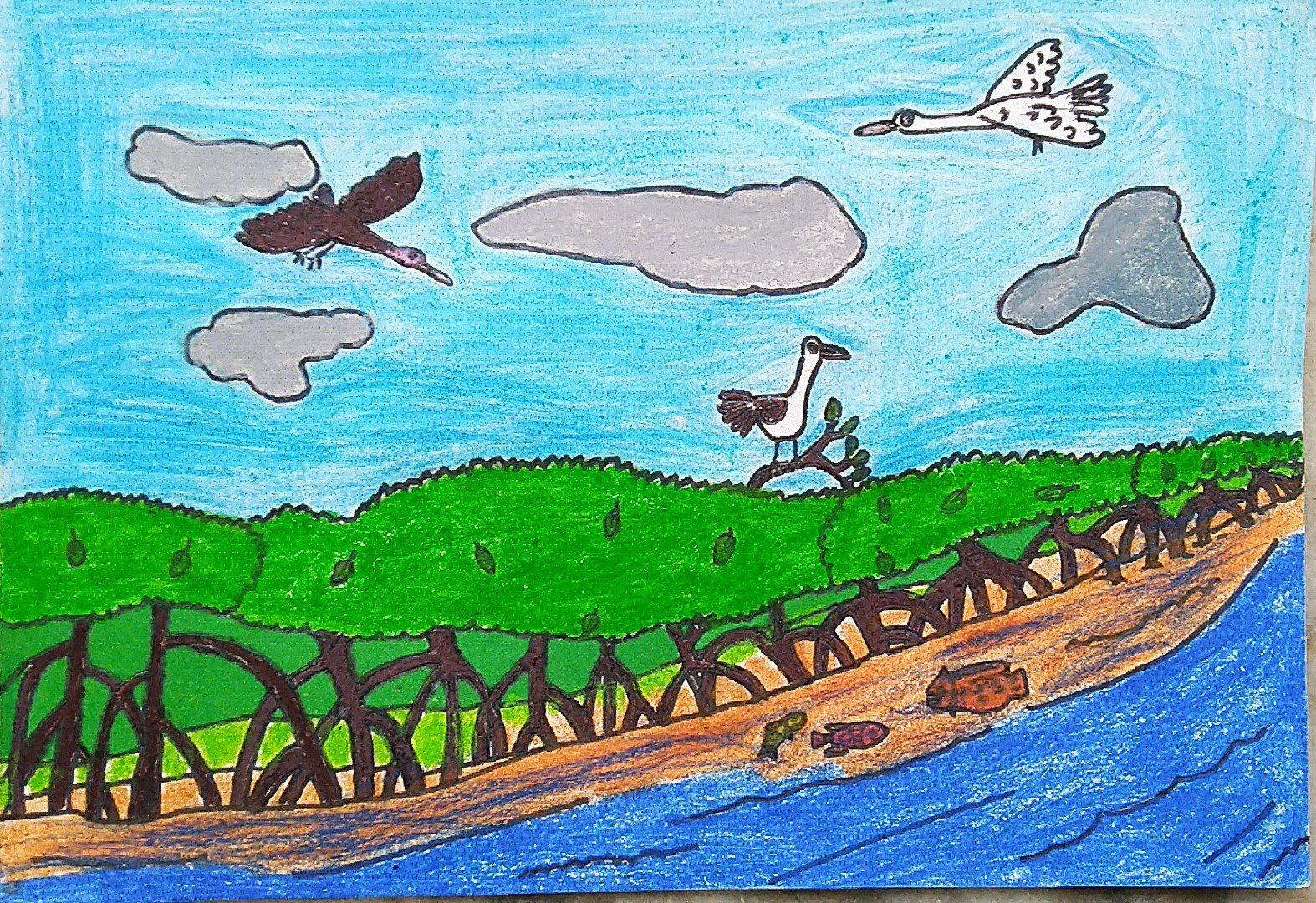 MANGROVE FOREST (  Mangrove forest are found near the seas and oceans. Mangrove save Tsunami.and also helpful growing of fish and also nest for many birds. - JOHN ( JOHN ART Gallery 2019).