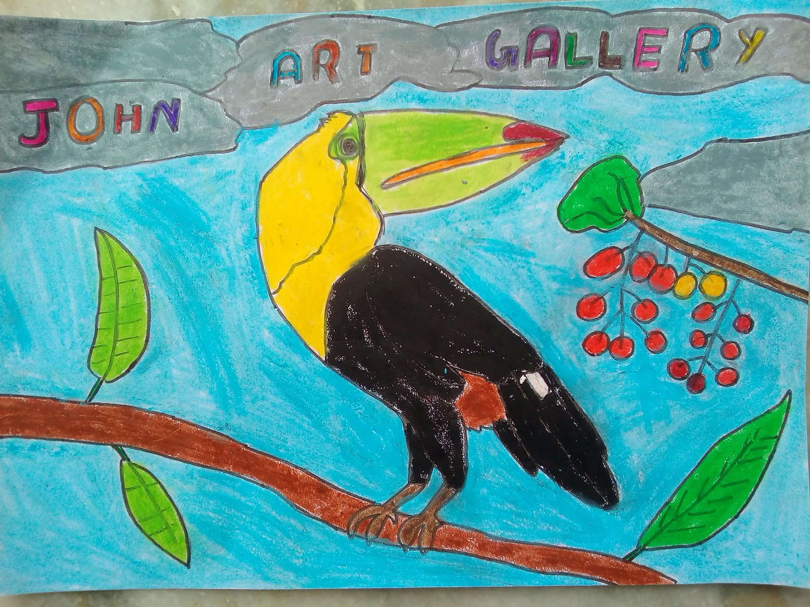 TOUCAN (BIRD) - JOHN ( JOHN ART Gallery 2019).