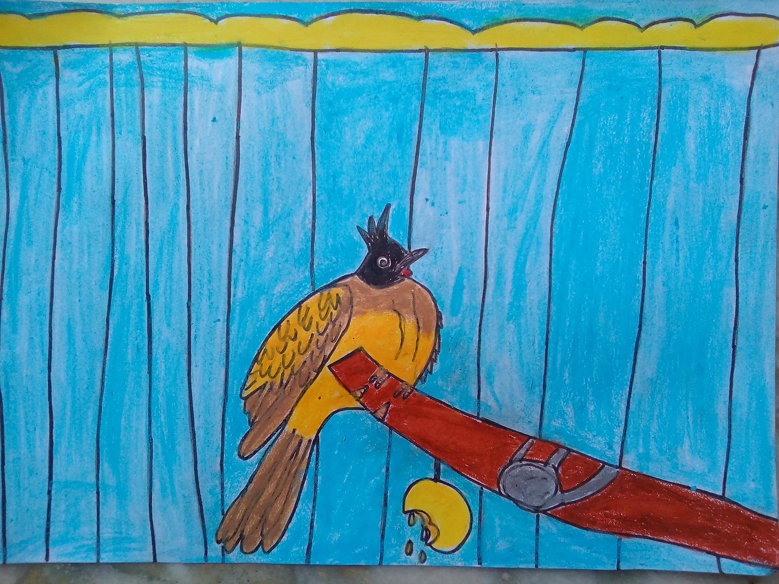 BULBUL IN THE CAGE(Message- Do not put birds in the cage) - JOHN ( JOHN ART Gallery 2019).