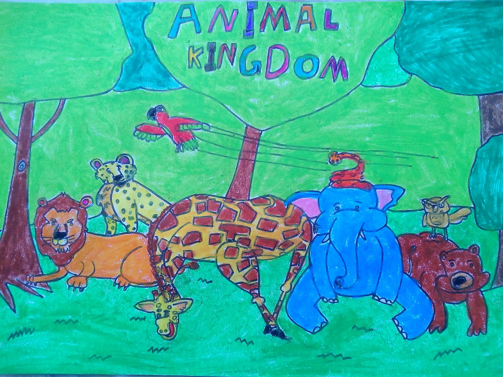ANIMAL KINGDOM - JOHN ( JOHN ART Gallery 2019).