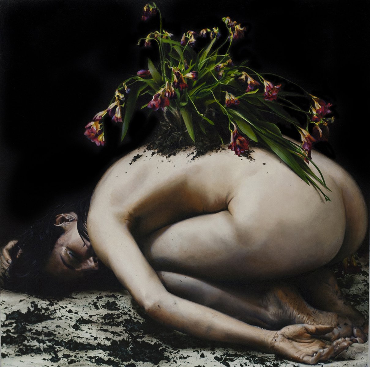 Requiem for the Obedient - Amanda Greive