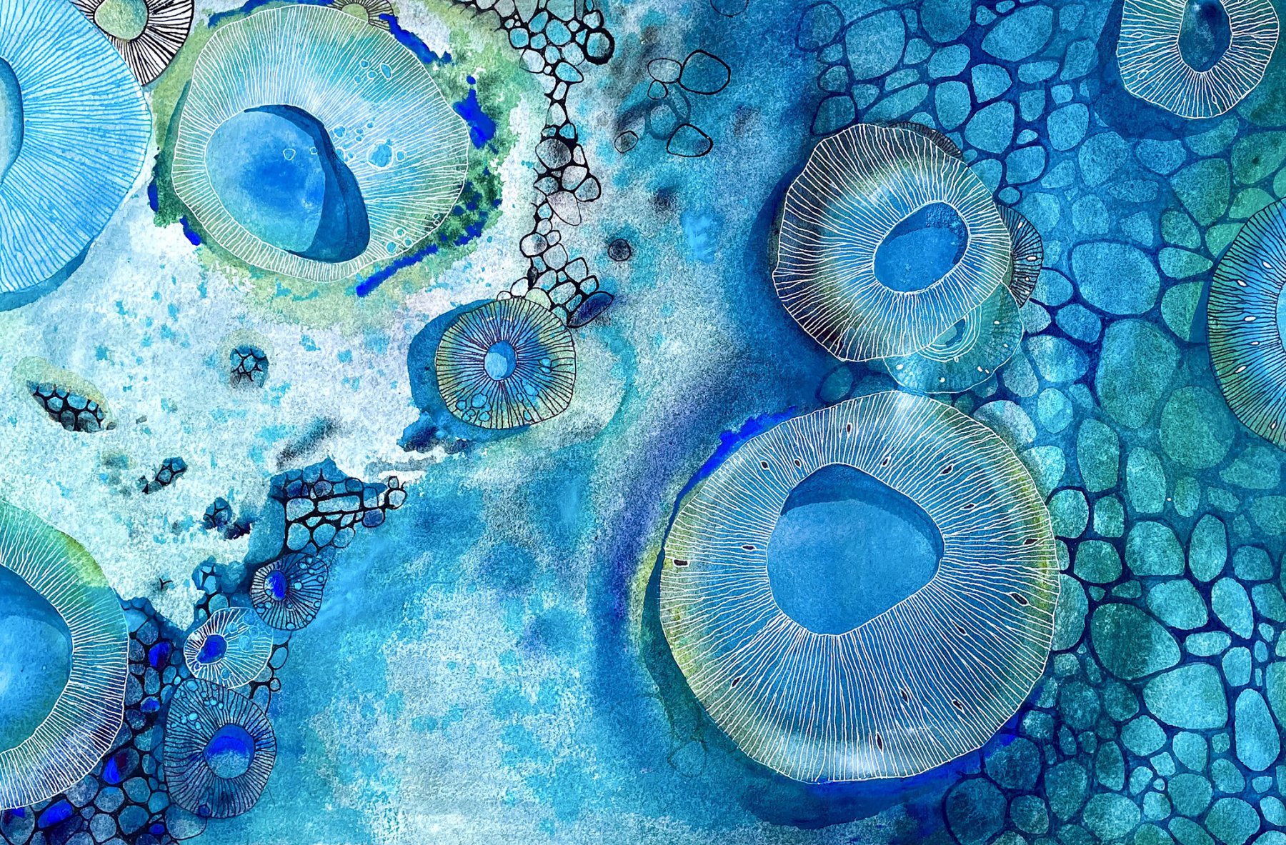 Honorable Mentions: Caroline Deeble, Australia - DoYouSpeakWatercolor?