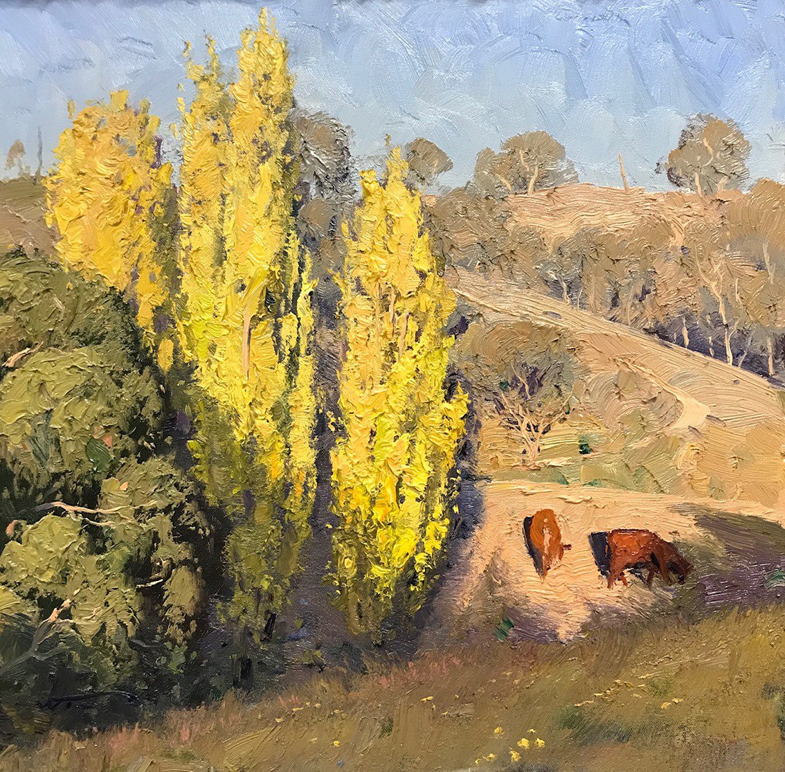 Golden May Afternoon, Kanimbla - Warwick Fuller