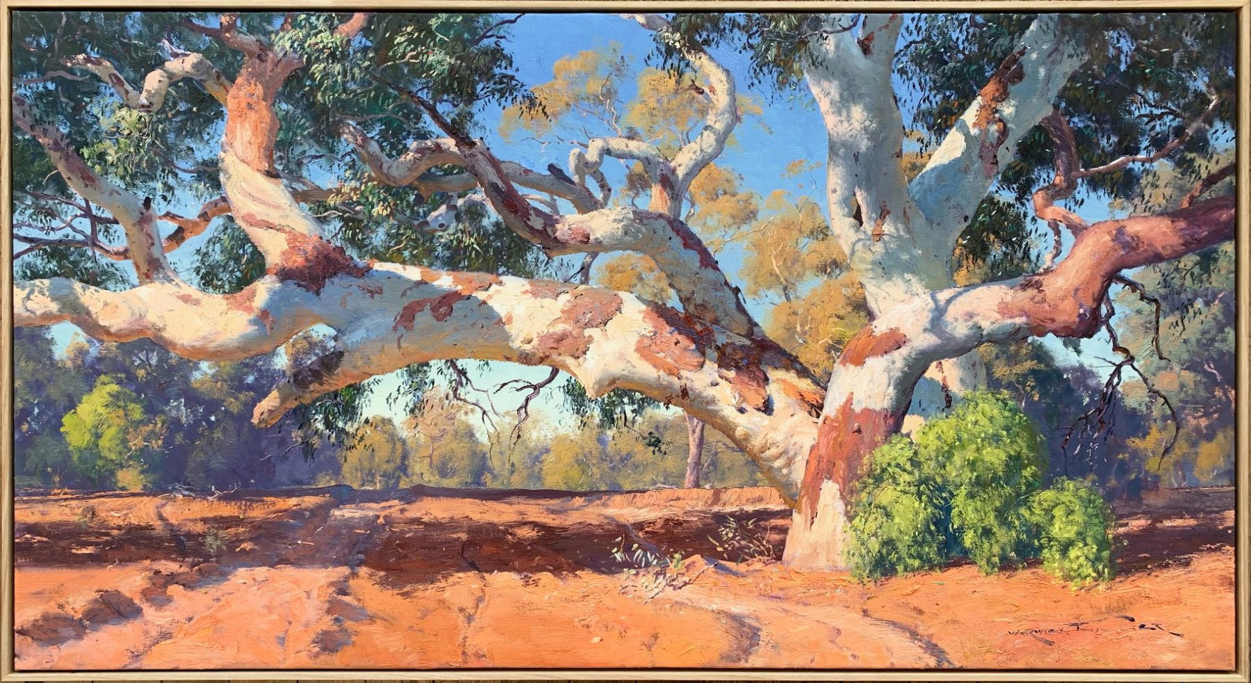 Arching Gum, a Triumph of Endurance - Warwick Fuller