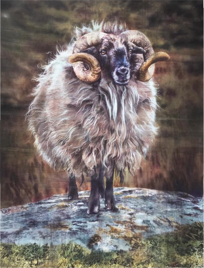 The king of Kerry - John Cooney