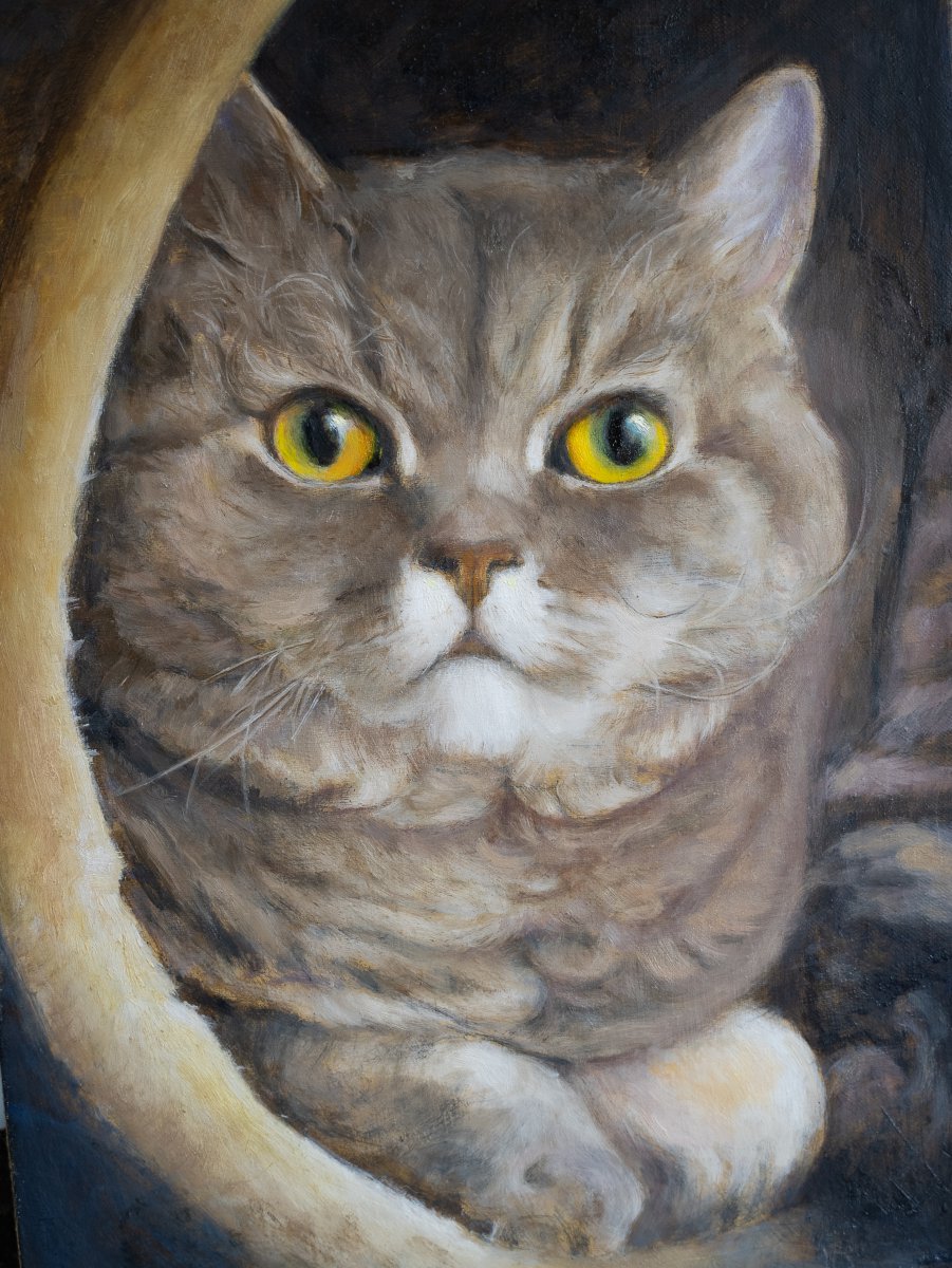 Curly Cookie - Kenneth Leung 