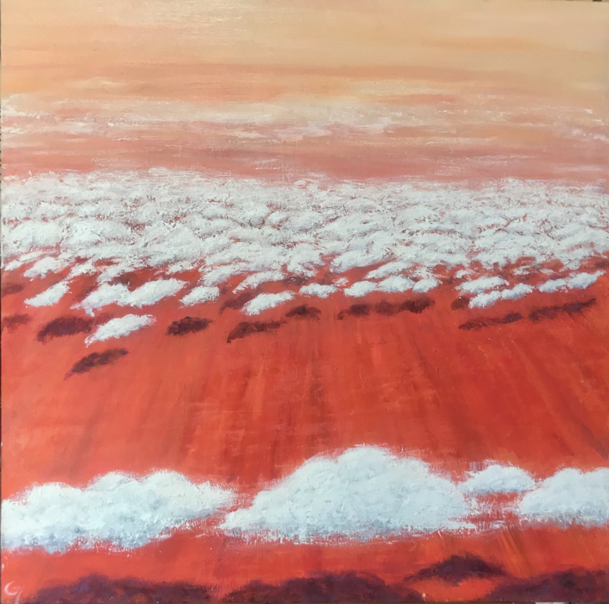 Flight over the outback - Australia - Laurence Blanchard