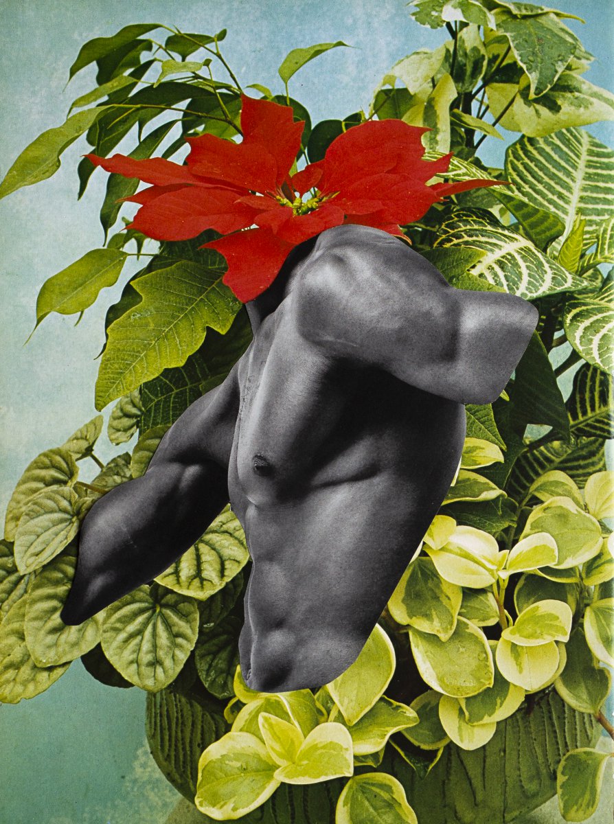 I Kissed A Boy and I Liked It ! -V - Silvio Severino 