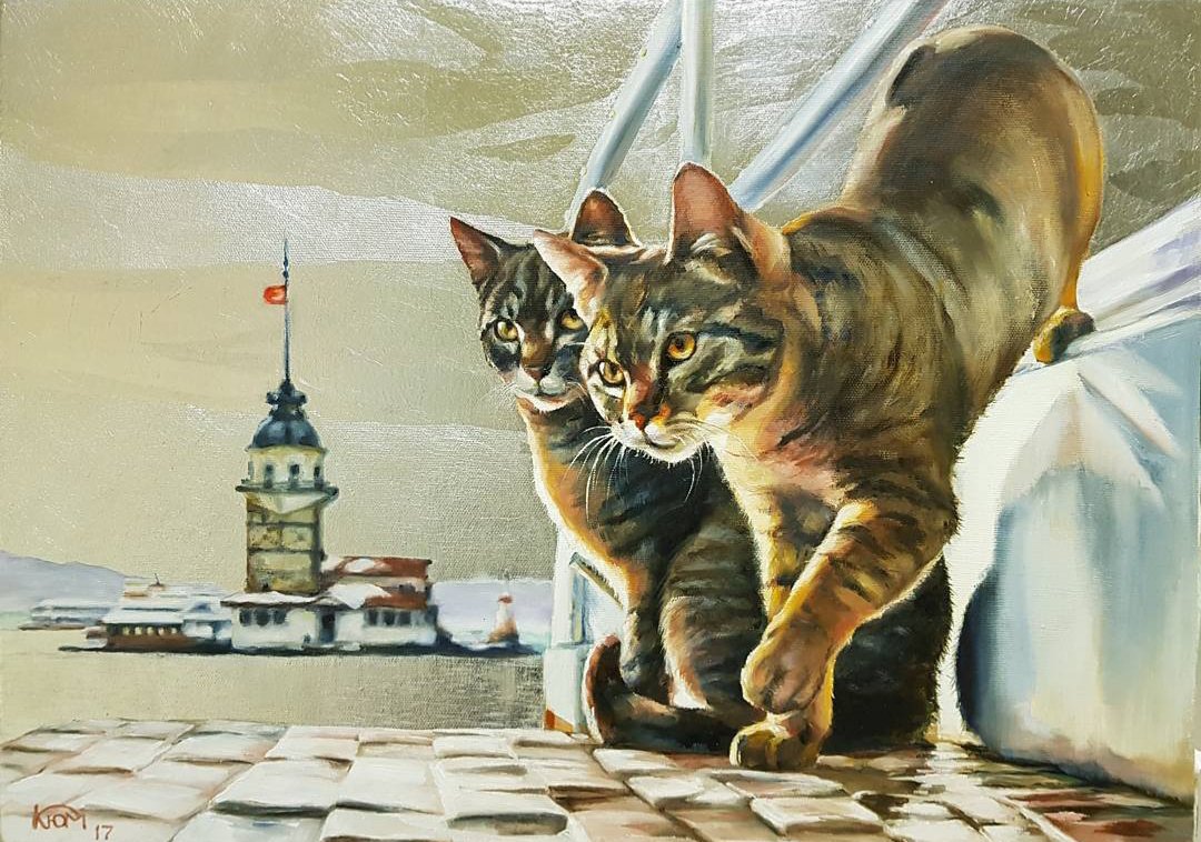 Istanbul cats - Yulia Krinitchina