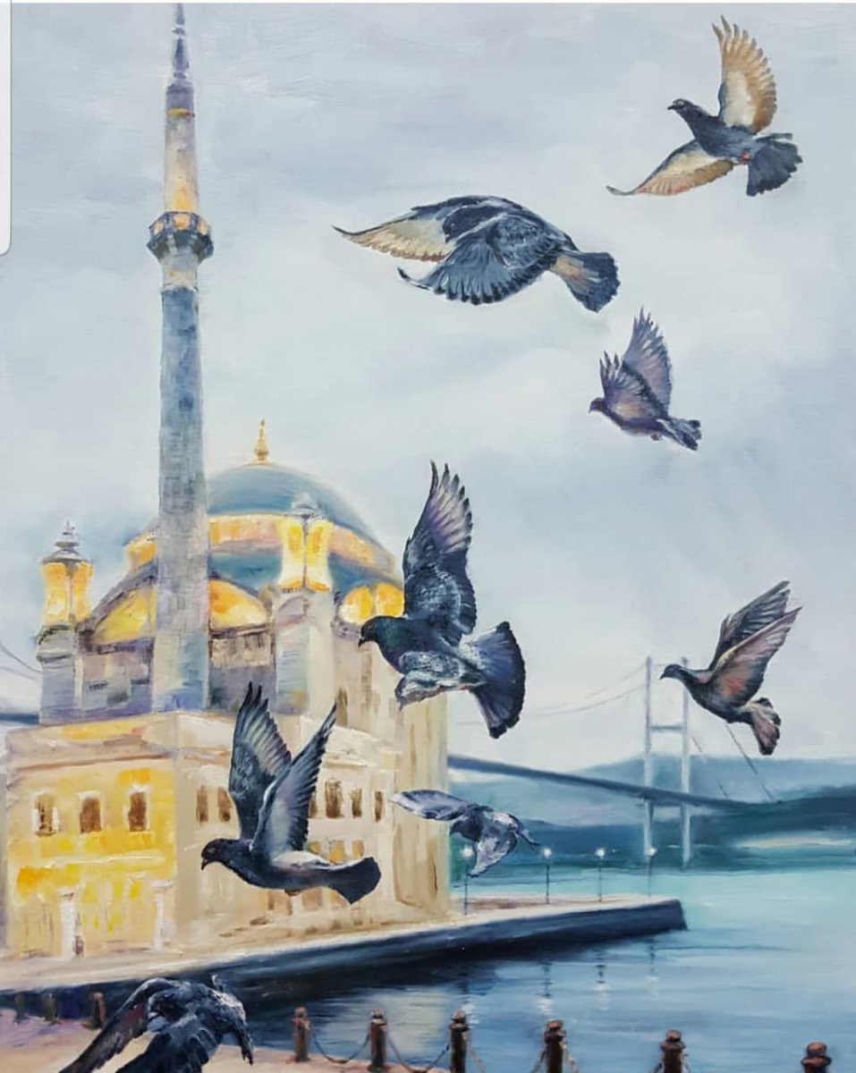 Istanbul and pigeons - Yulia Krinitchina