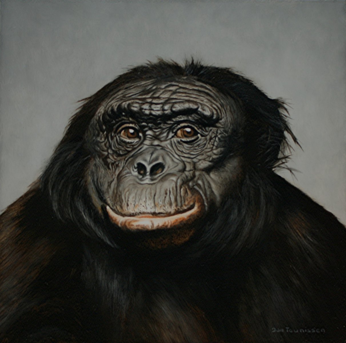 Bonobo Kanzi - Jan Teunissen