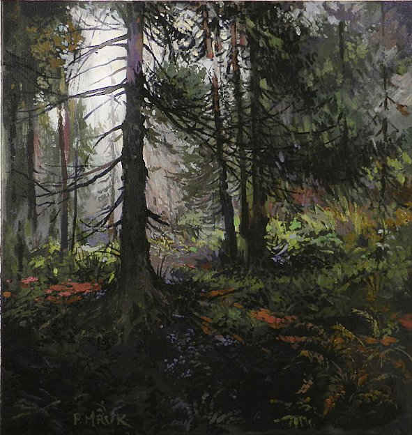 Forest - Piotr Mruk Łysienko