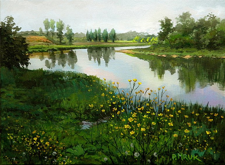 The Wkra river - Piotr Mruk Łysienko