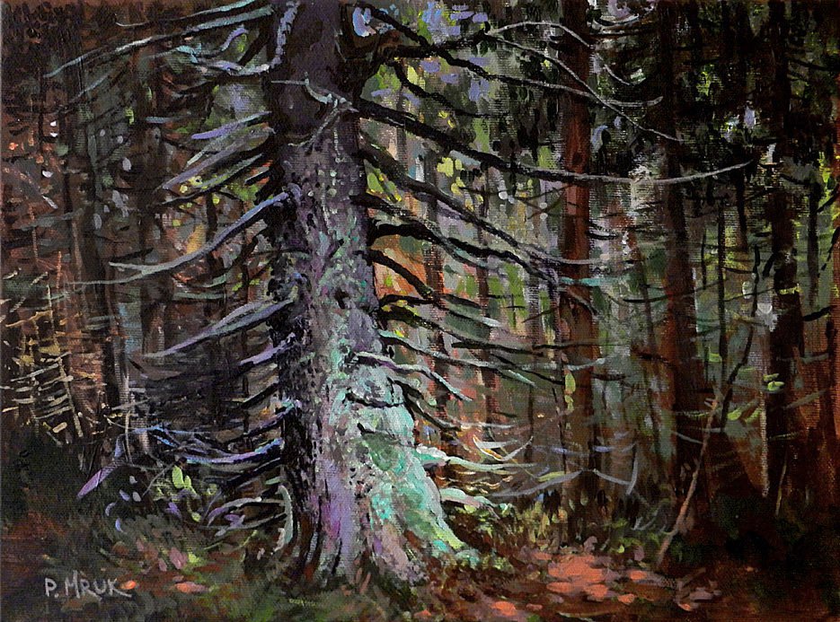 Forest tales. Spruce - Piotr Mruk Łysienko