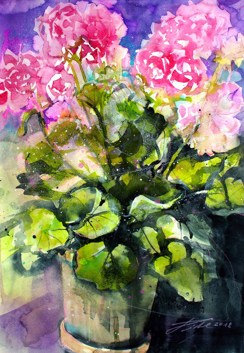 Geranien im Blumentopf, Aquarell - Johann Pickl