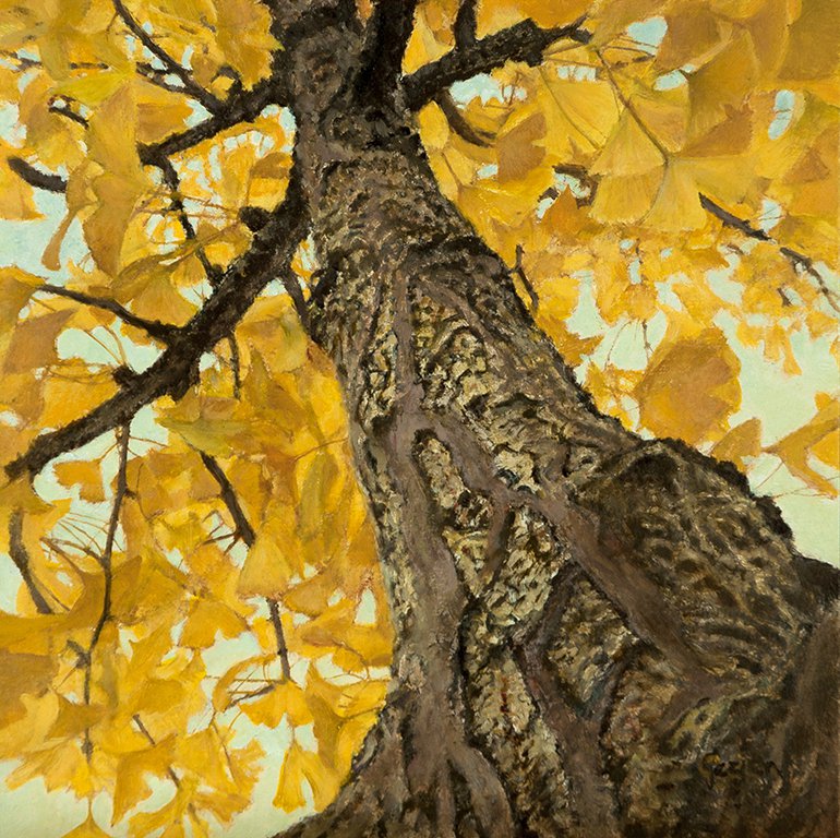 Gingko in autumn - Gezien van de Riet