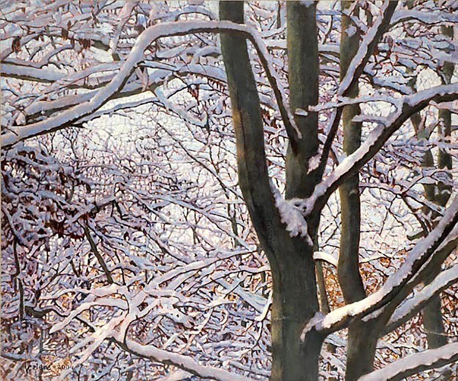 Snow on the branches  - Gezien van de Riet