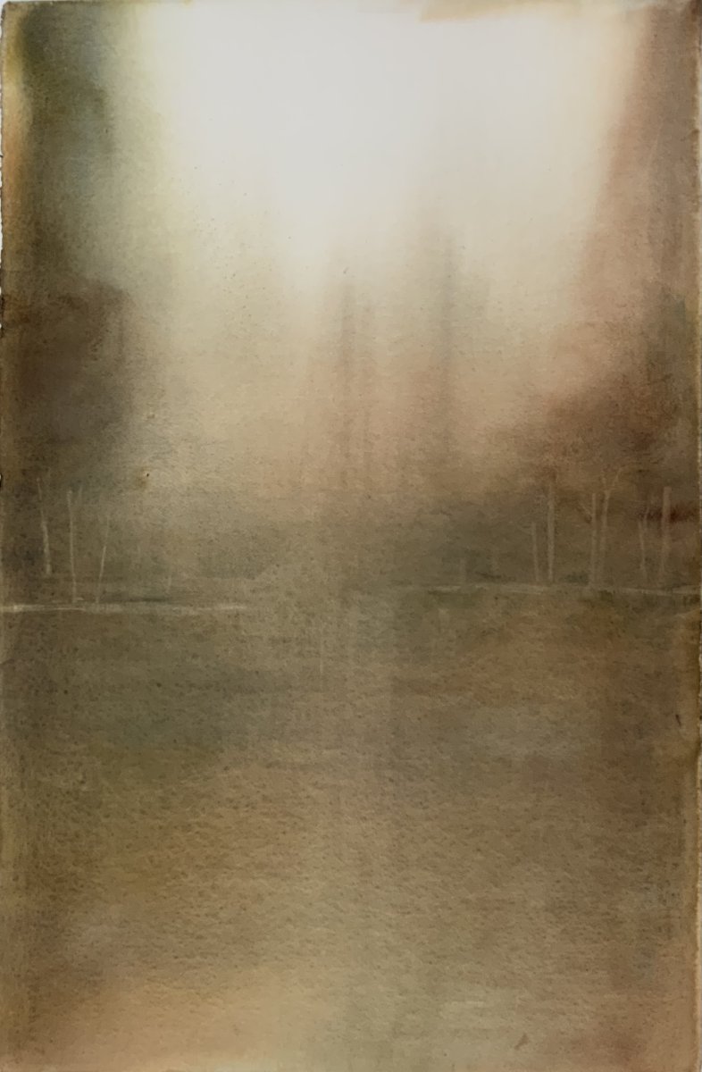 Nebel - Siegfried Krön