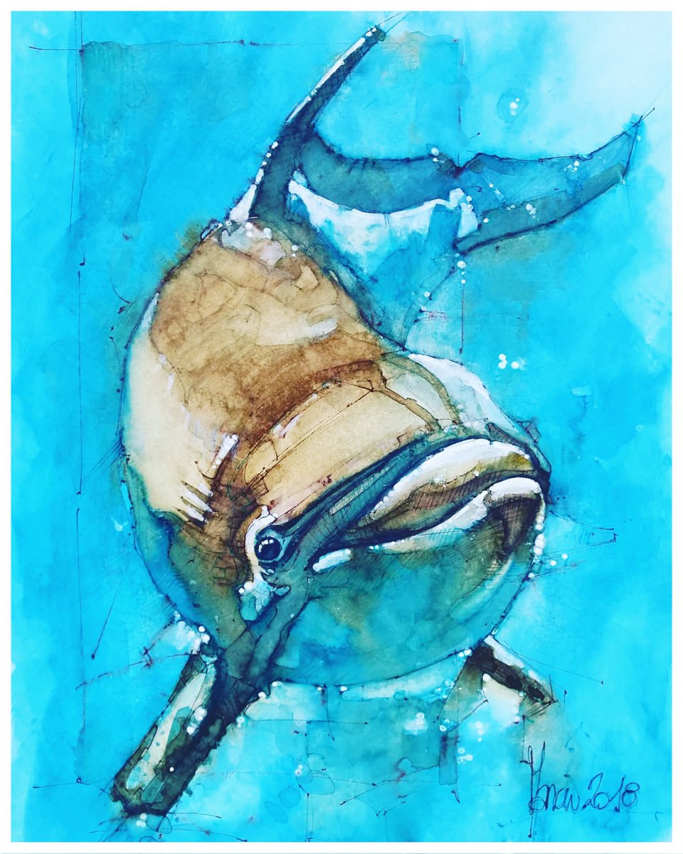 Dolphin - Alberto Mancini
