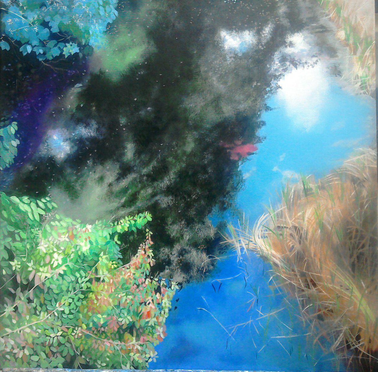 Summerlee Summer - Lesley Banks