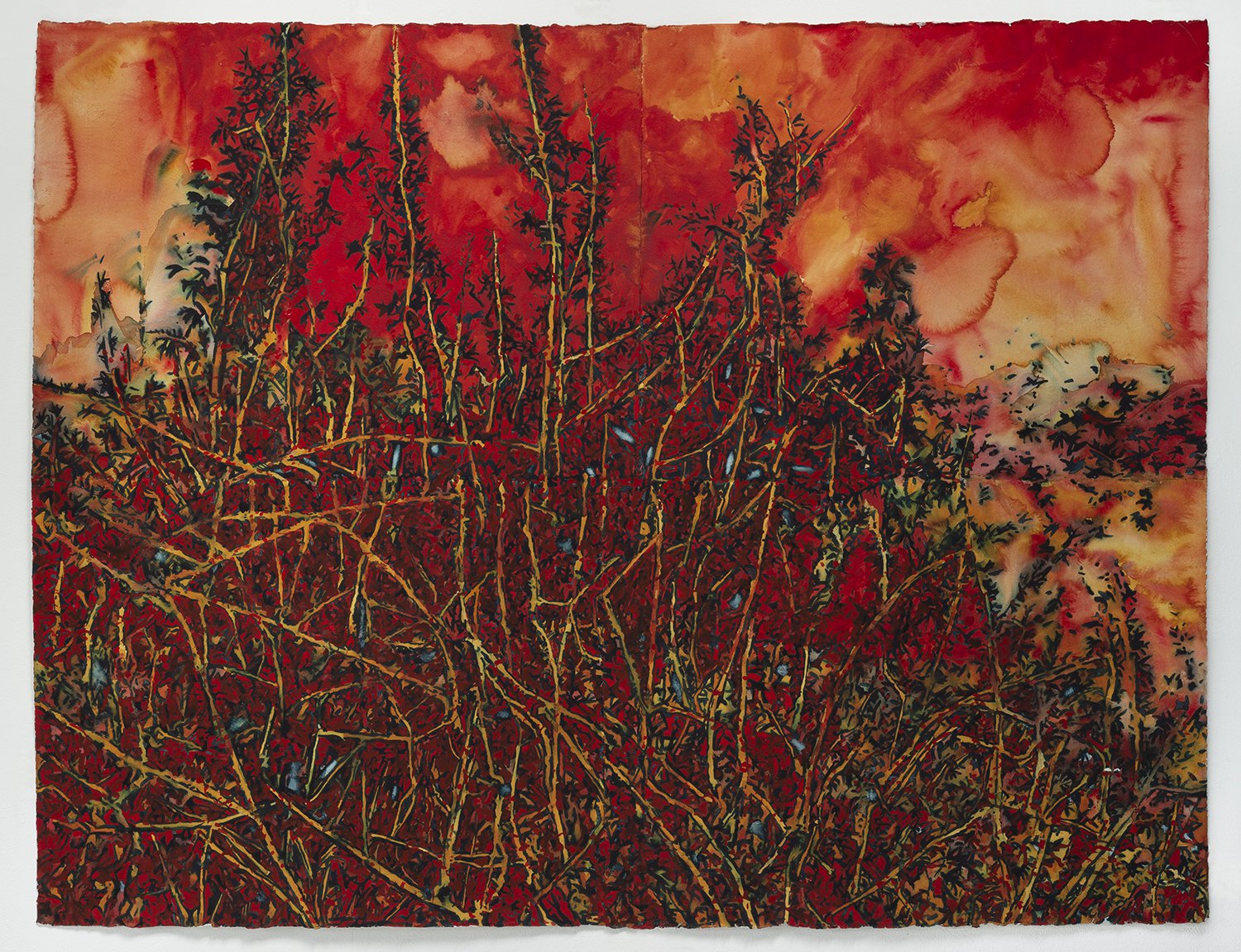 Forest Fire - Graham Dean