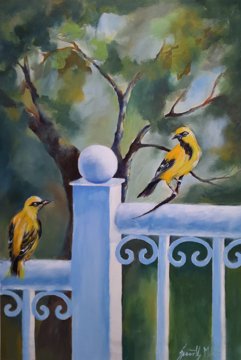 Birds Series_06 - Spoorthy Murali