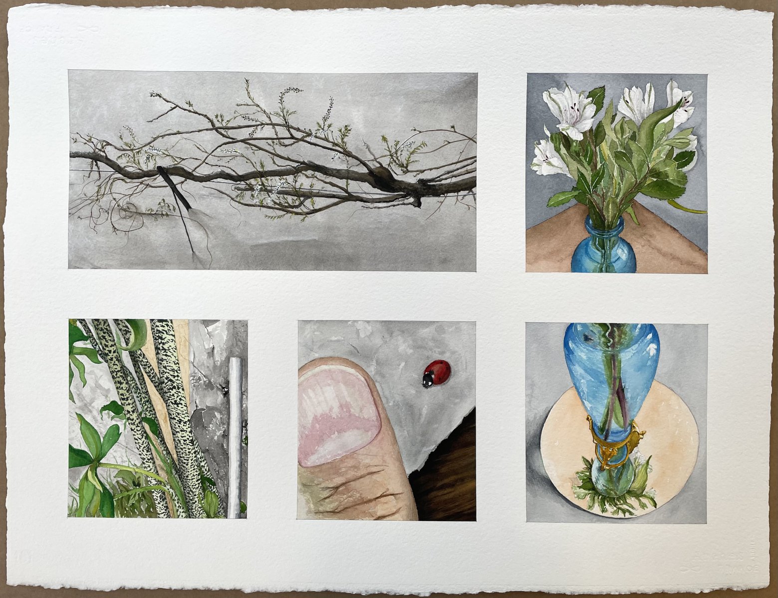 Untitled (Wisteria, Lilies, Dracunculus Vulgaris, Ladybug and a Thumb) - Peter Root