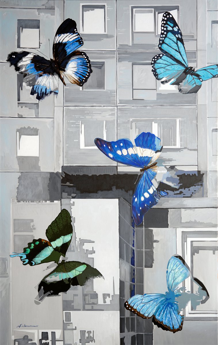 Lepidoptera (Metamorphose) - Uwe Fehrmann