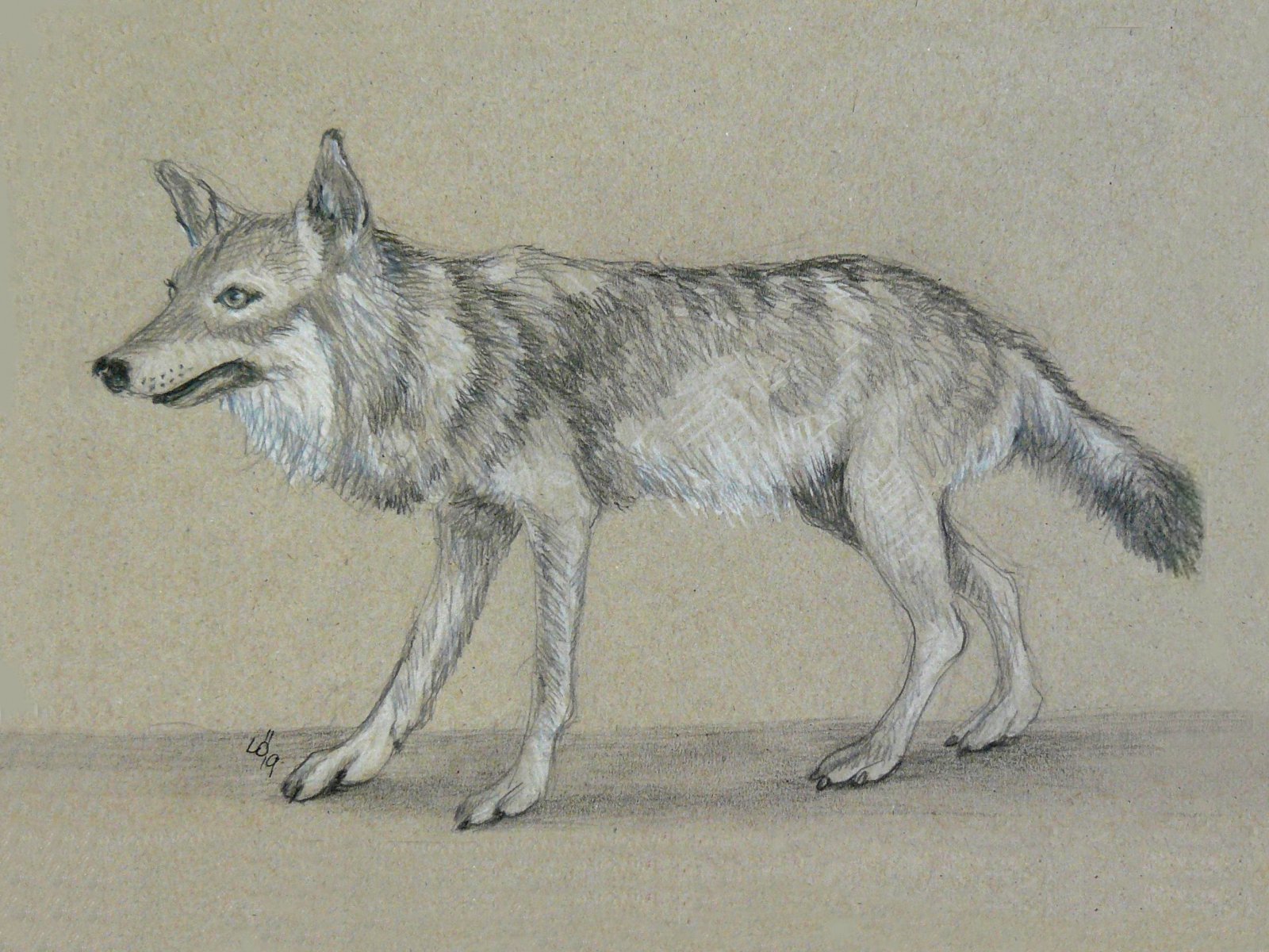Wolf - Eckart Löser