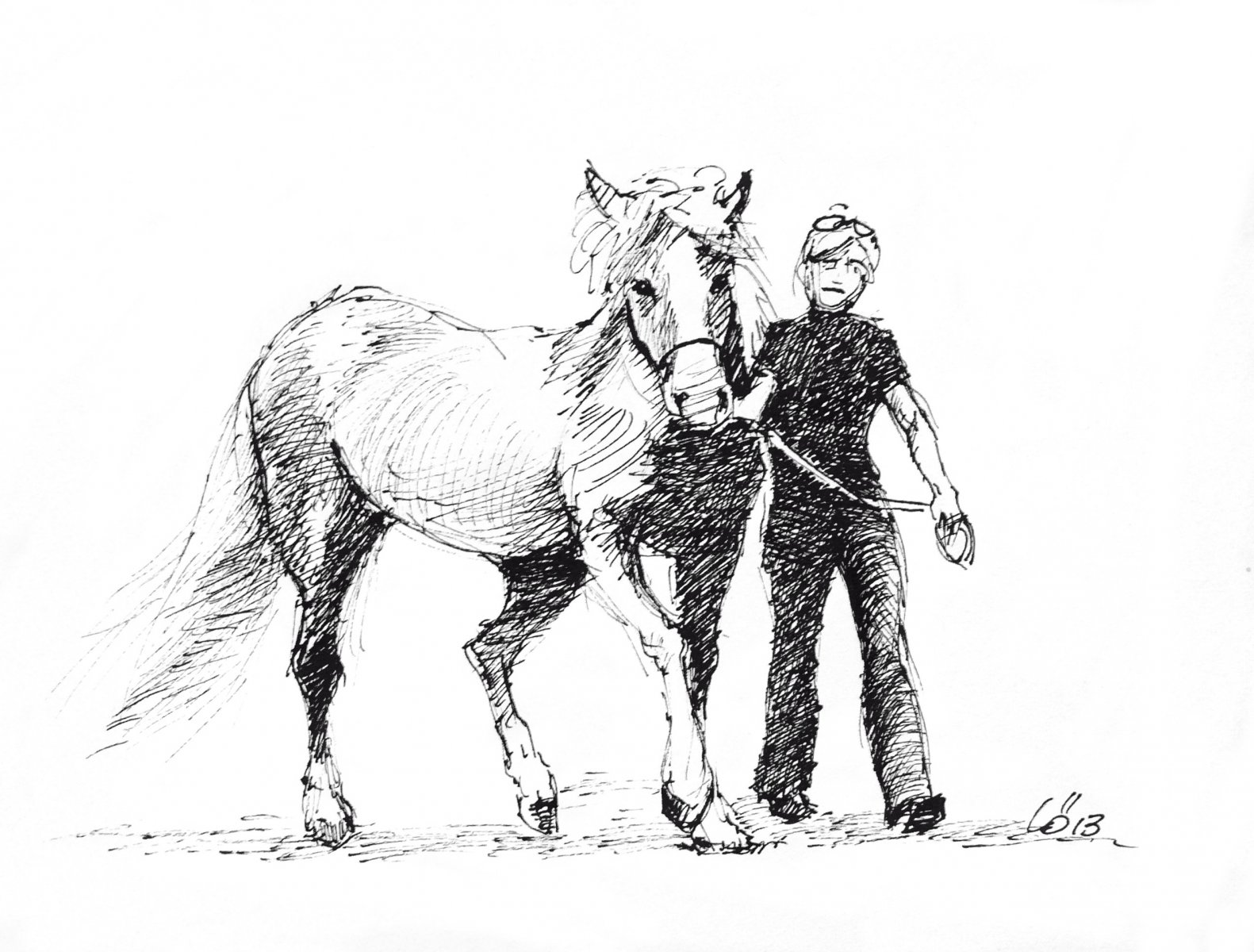 Haflinger-Messe in Südtirol - Eckart Löser