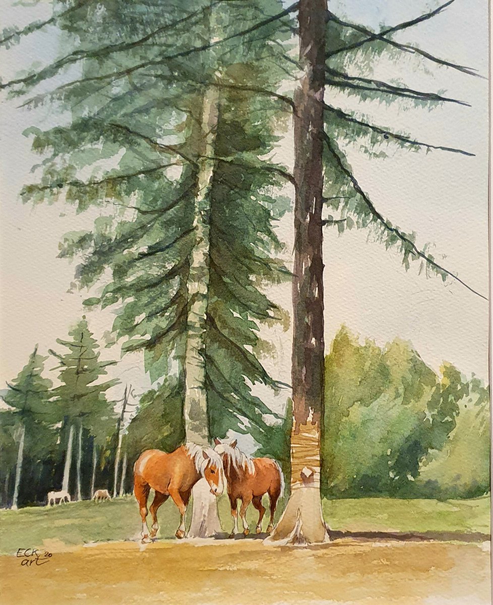 Haflinger in Südtirol - Eckart Löser