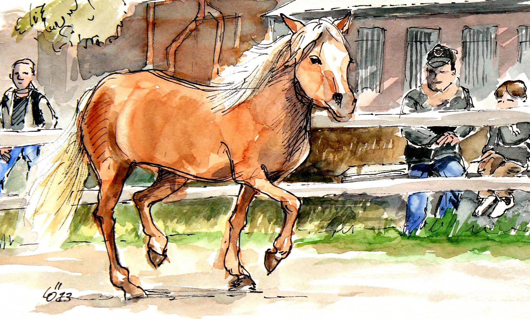 Haflinger-Messe in Südtirol - Eckart Löser