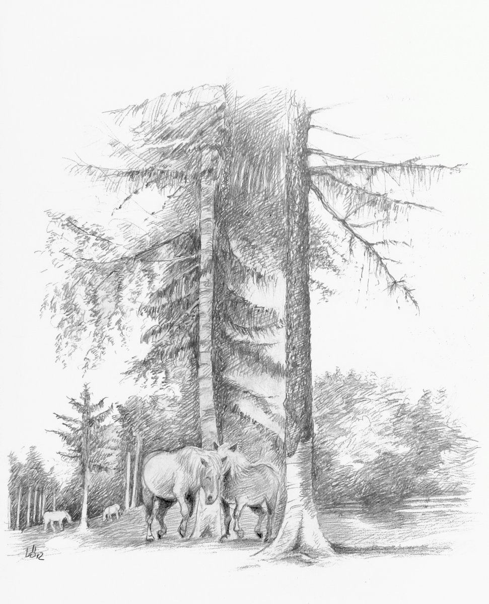 Haflinger in Südtirol - Eckart Löser