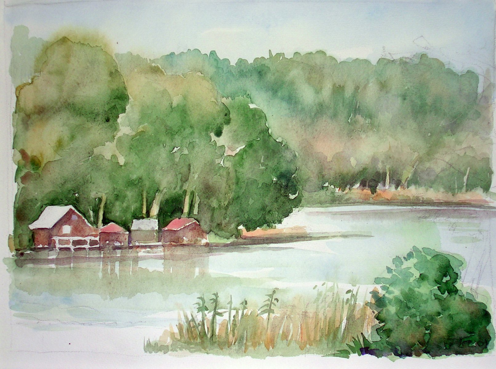 Nebelsee, Mecklenburger Seenplatte - Eckart Löser