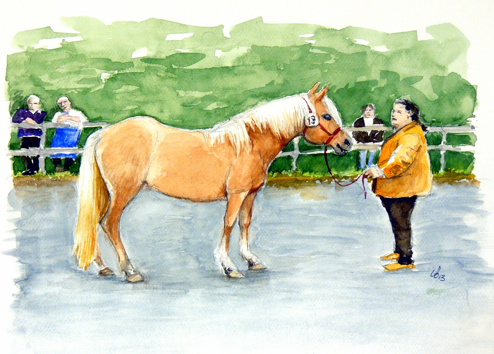 Haflinger-Messe in Südtirol - Eckart Löser