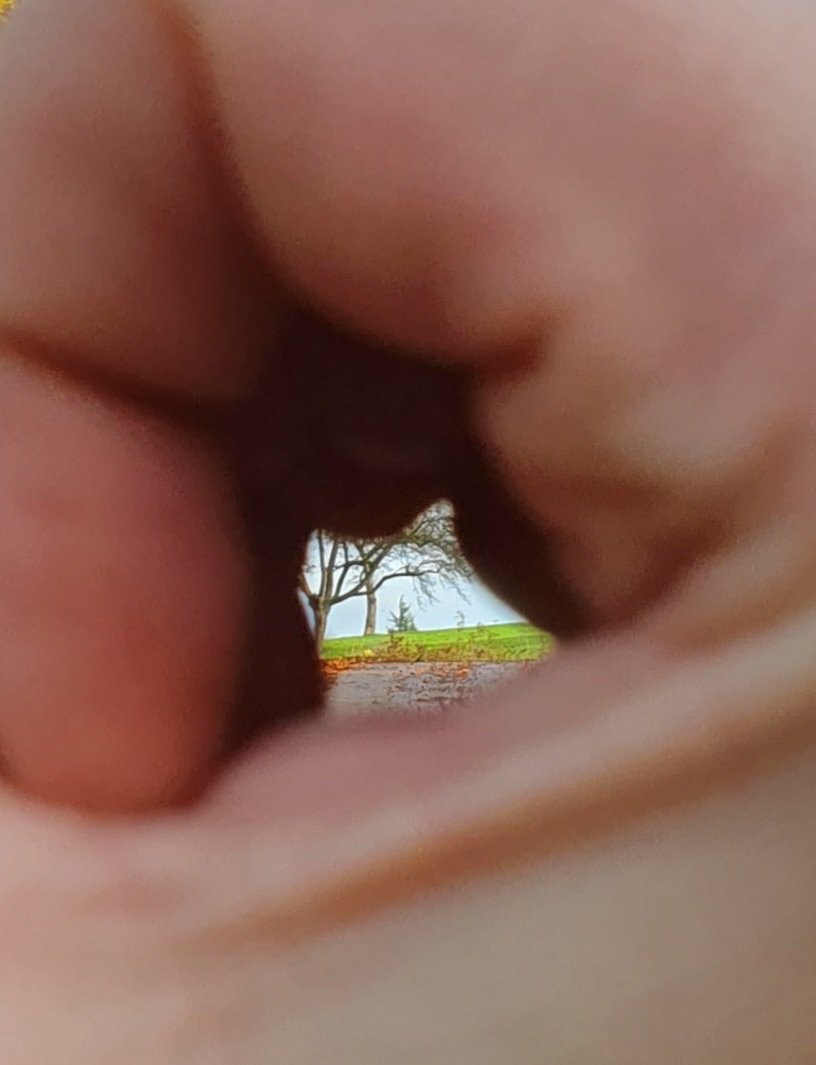 sight through fingers - Ronald Hotz