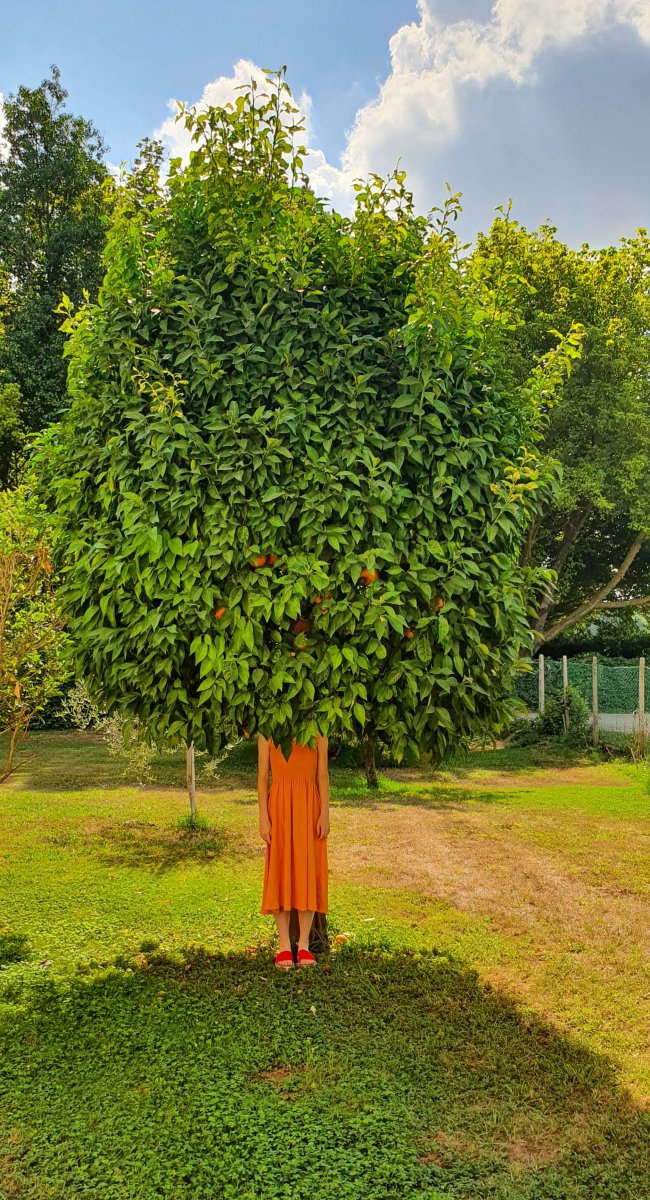 Mädchen unter Toscanischem Baum - Ronald Hotz