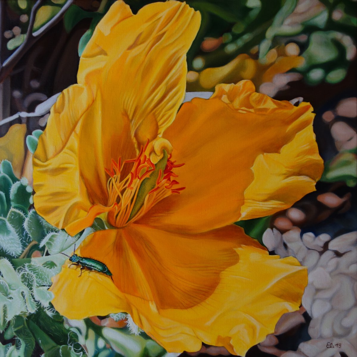 Yellow horned Poppy / The Visitor - Gabriele Esau