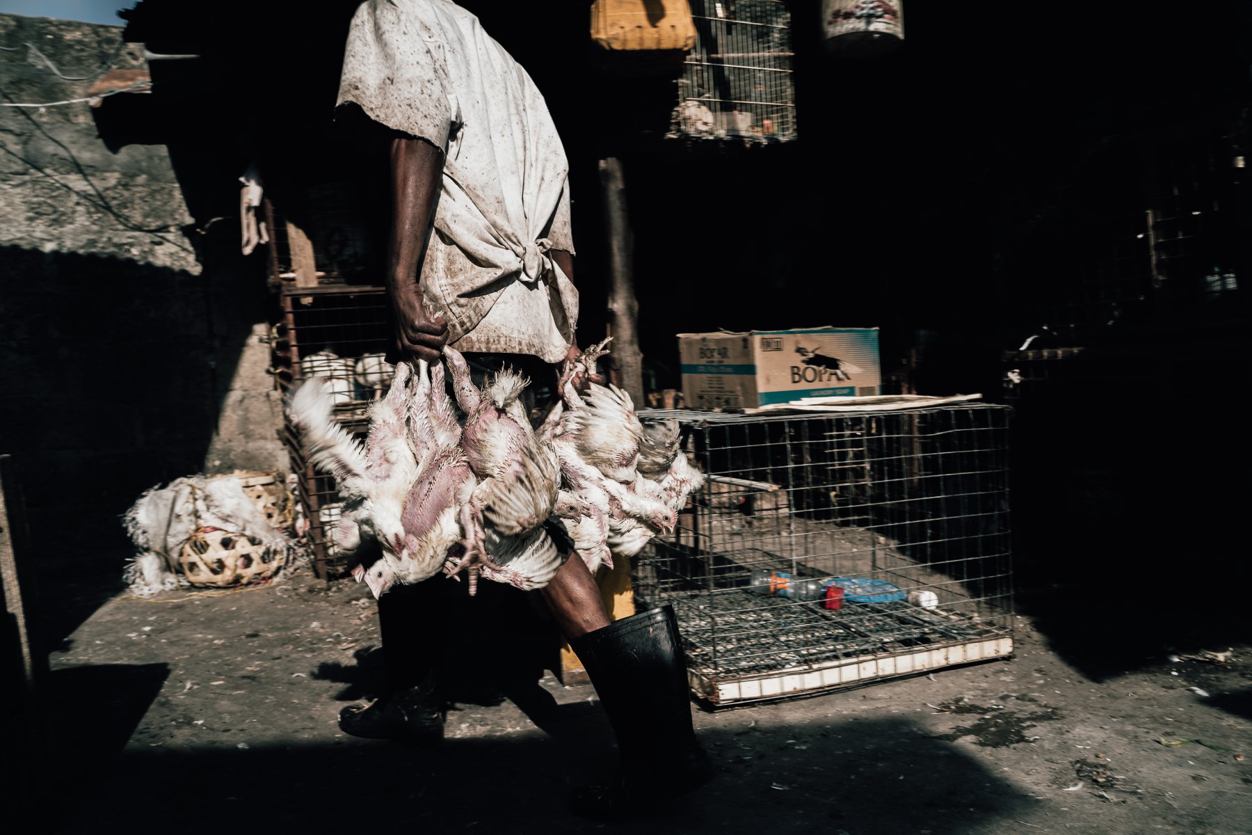 Man and Chicken - Dmytro Geshengorin