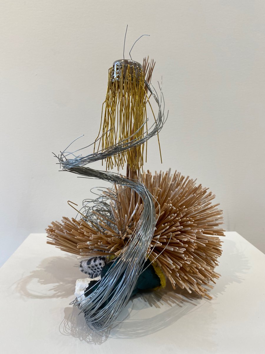 Anemone - Maria Kastan