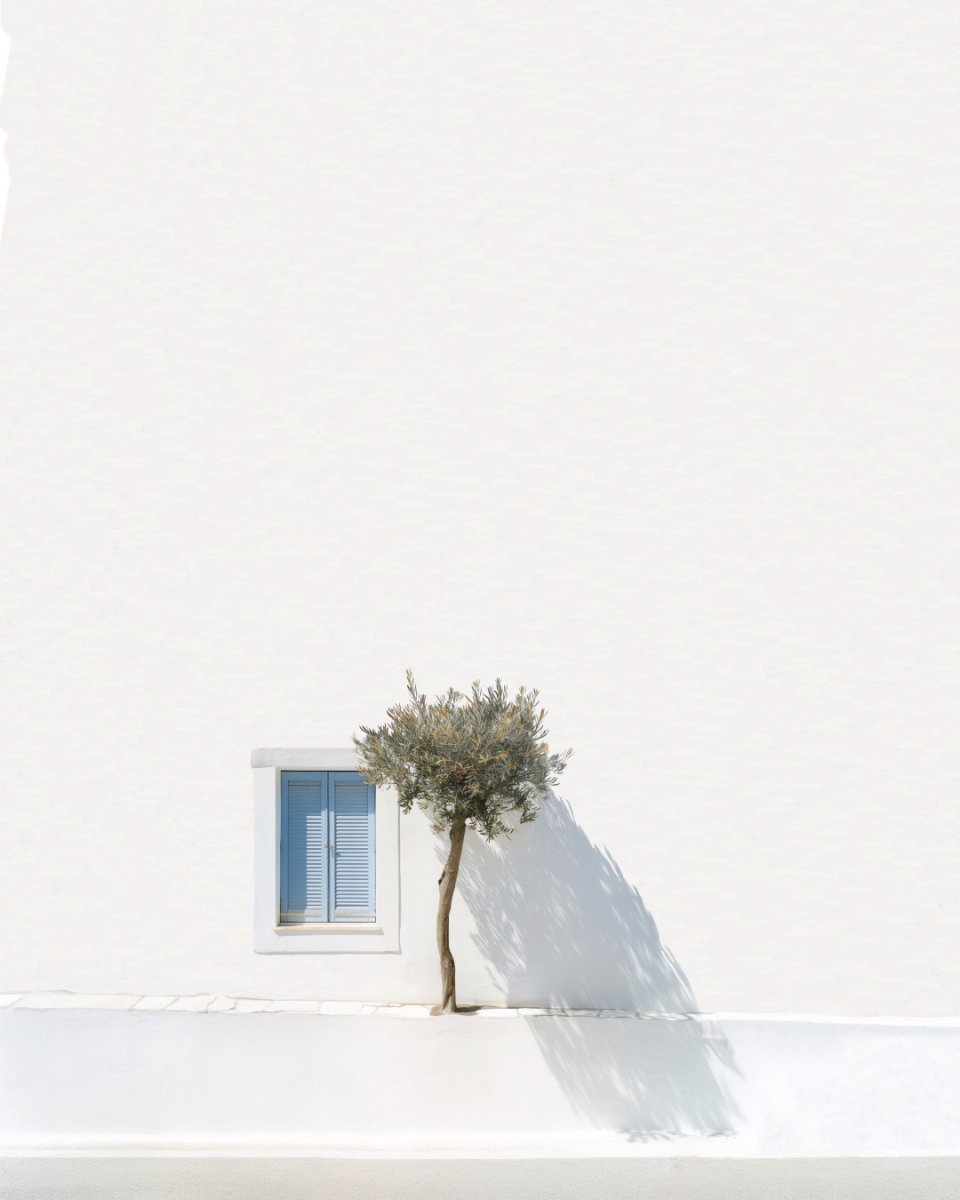 Greek tree - Marcus Cederberg