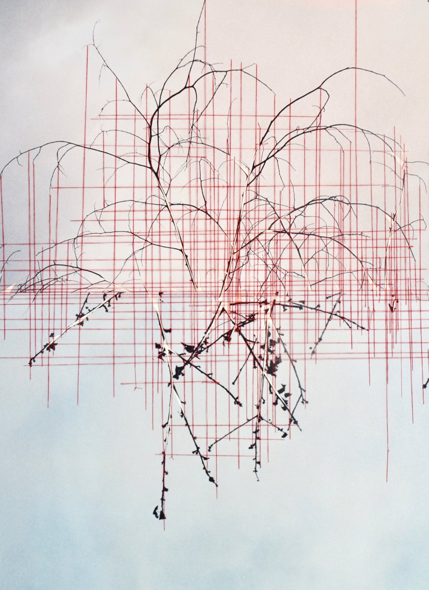 Treebranches and lines - Gisoo Kim