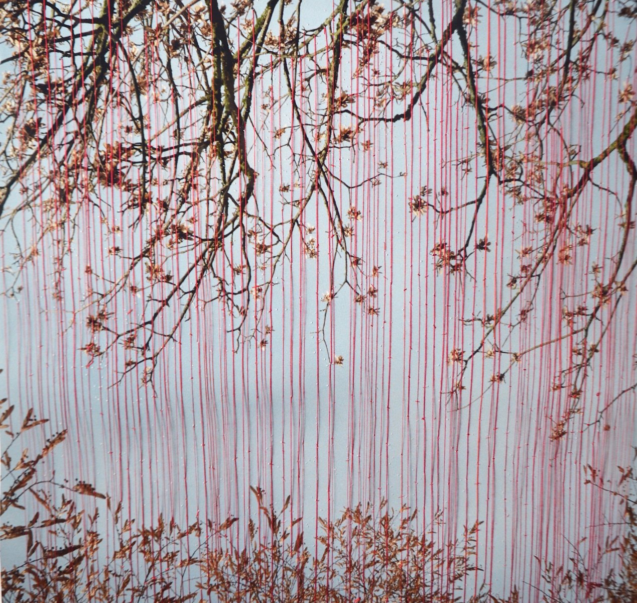 Treebranches - Gisoo Kim