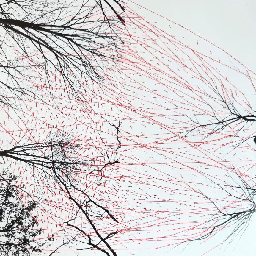 Treebranches and redlines - Gisoo Kim