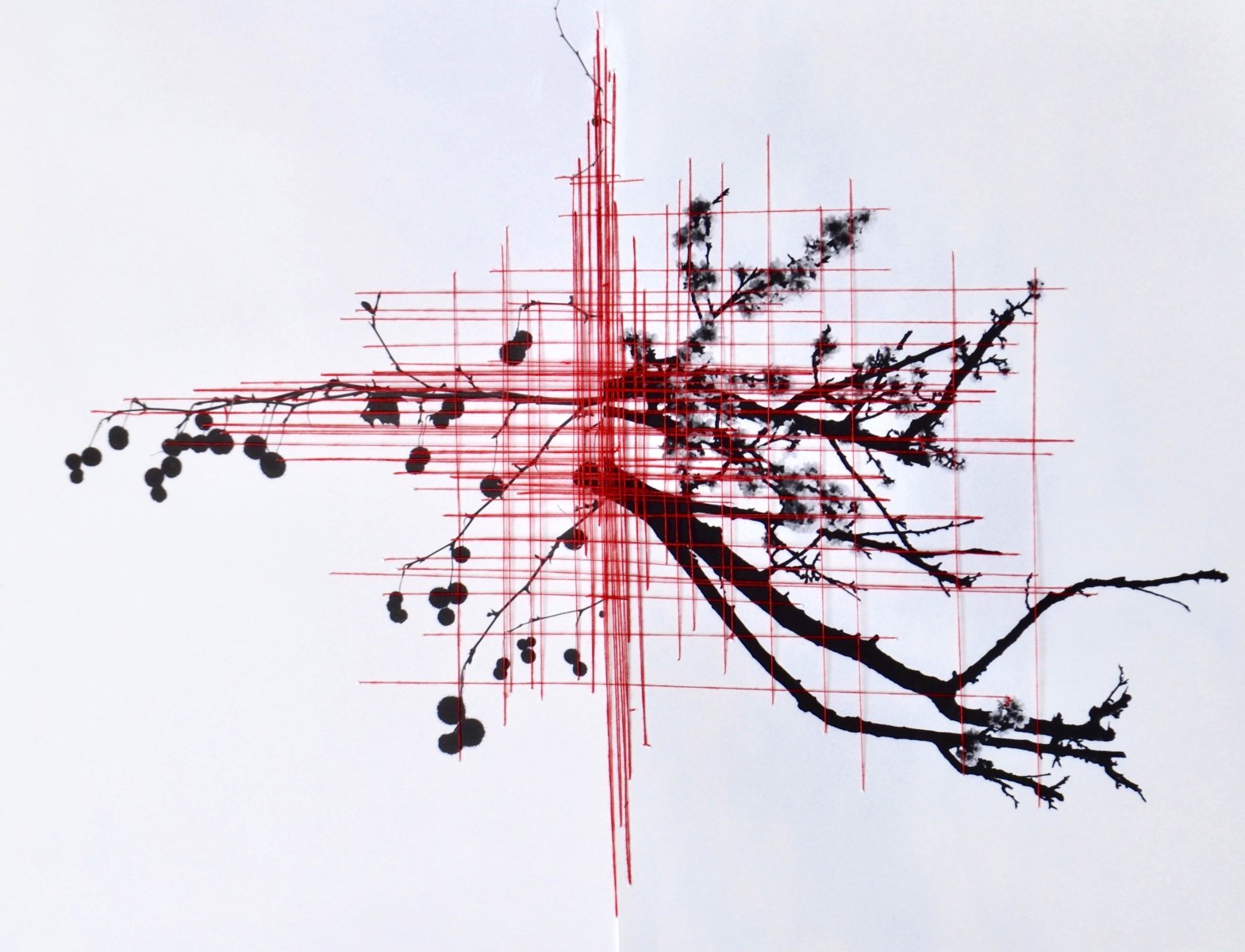 Treebranches and redlines 1 - Gisoo Kim