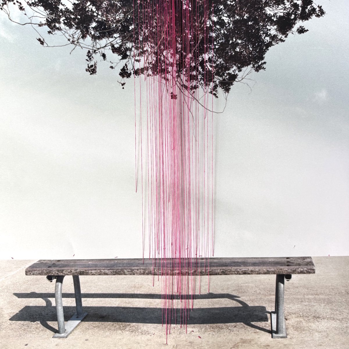 Bench and lines - Gisoo Kim