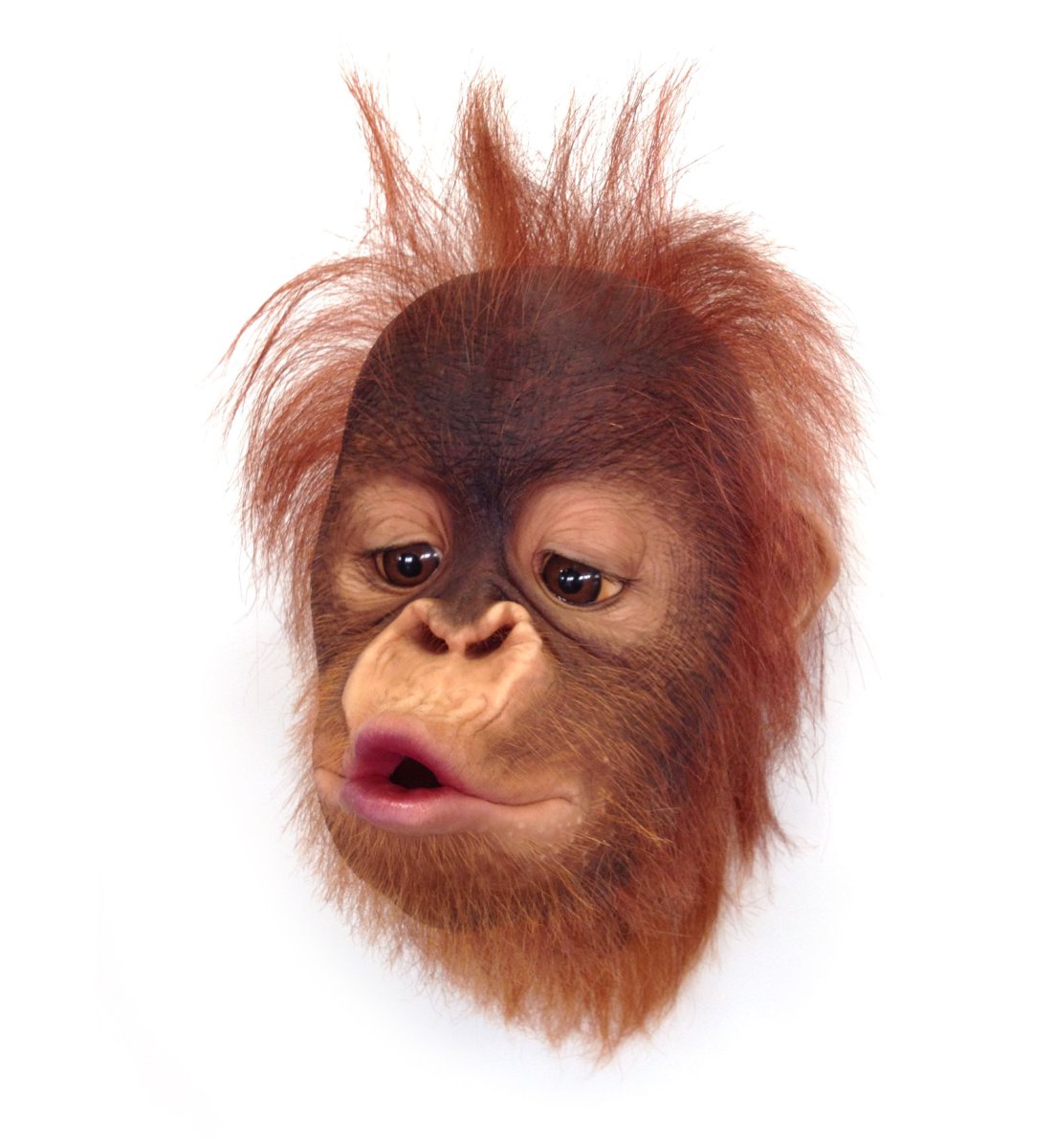 Last kiss goodbye - Paul Trefry