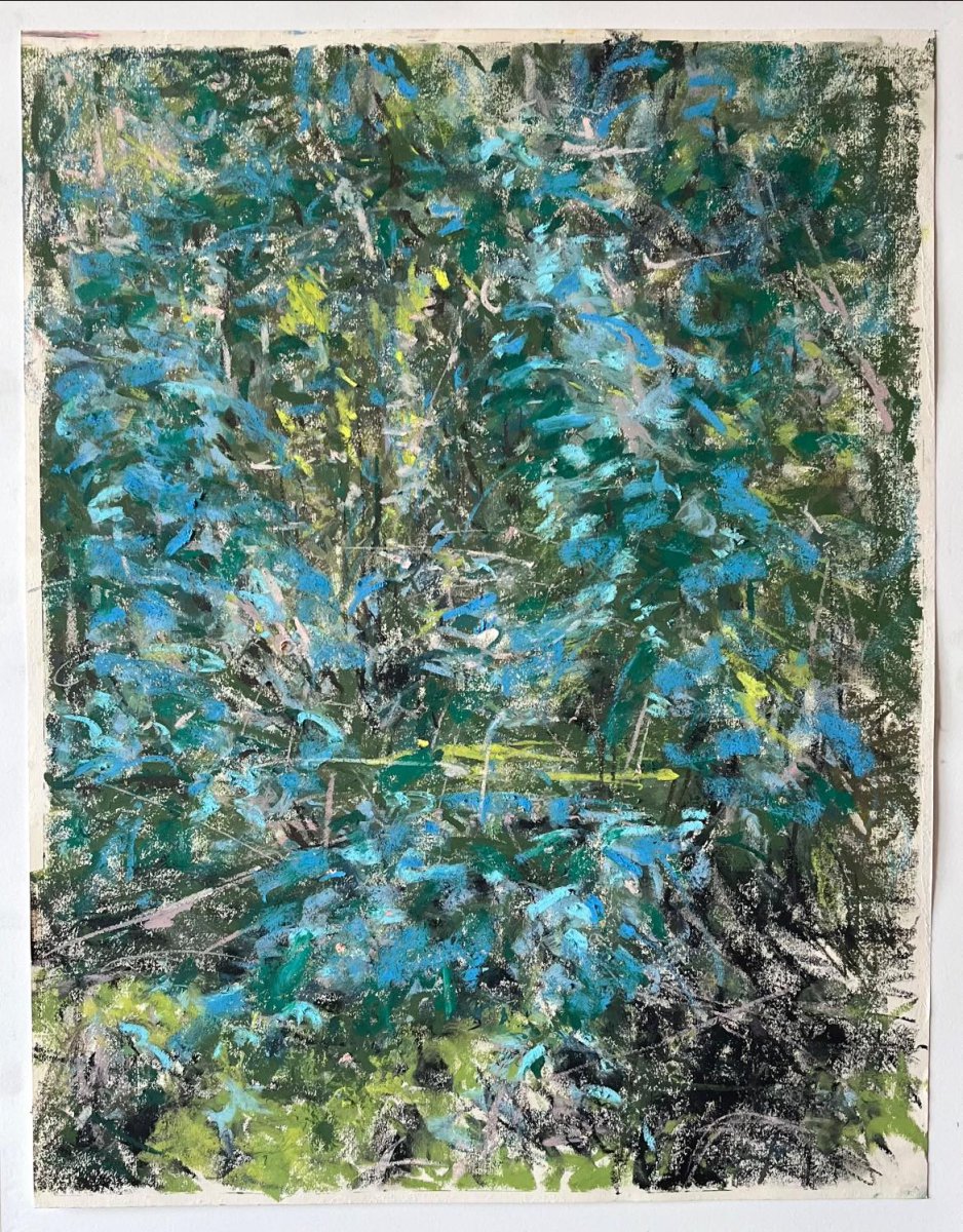 Ánh sáng của rừng
Light of the Forest - Nguyễn Thị Hà