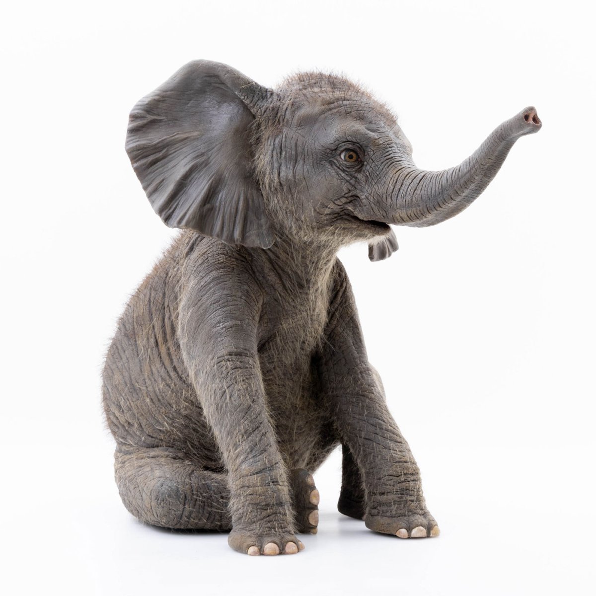 Sitting Pretty - Paul Trefry