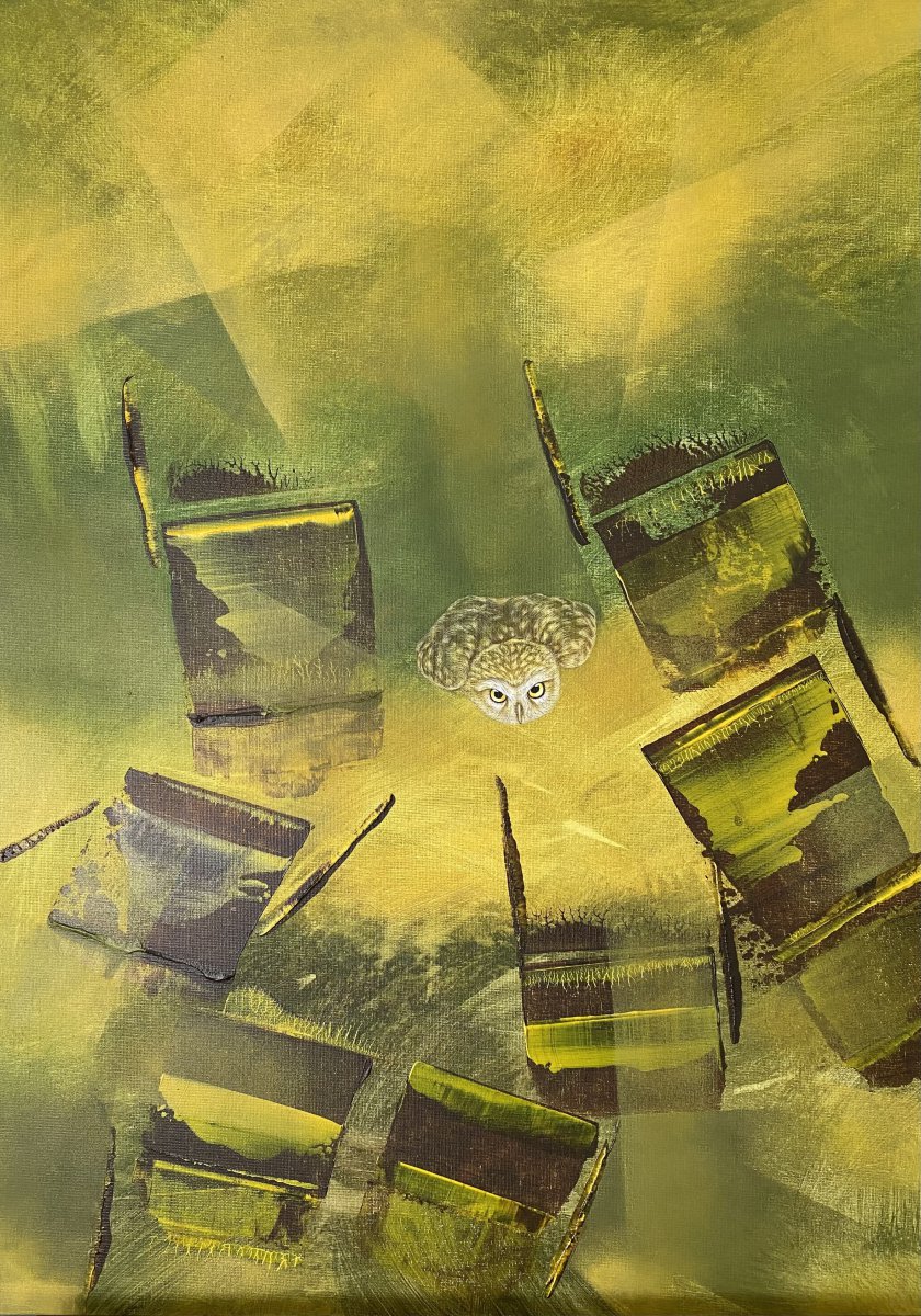 Soren, flying into the unknown - Laura Anido-Serrano